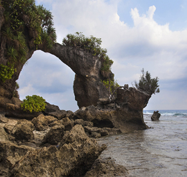 images for neil island andaman